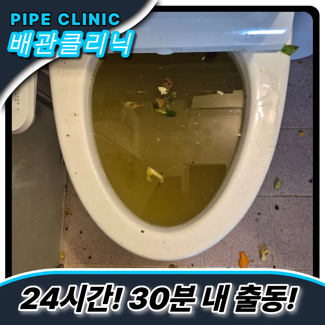 변기막힘