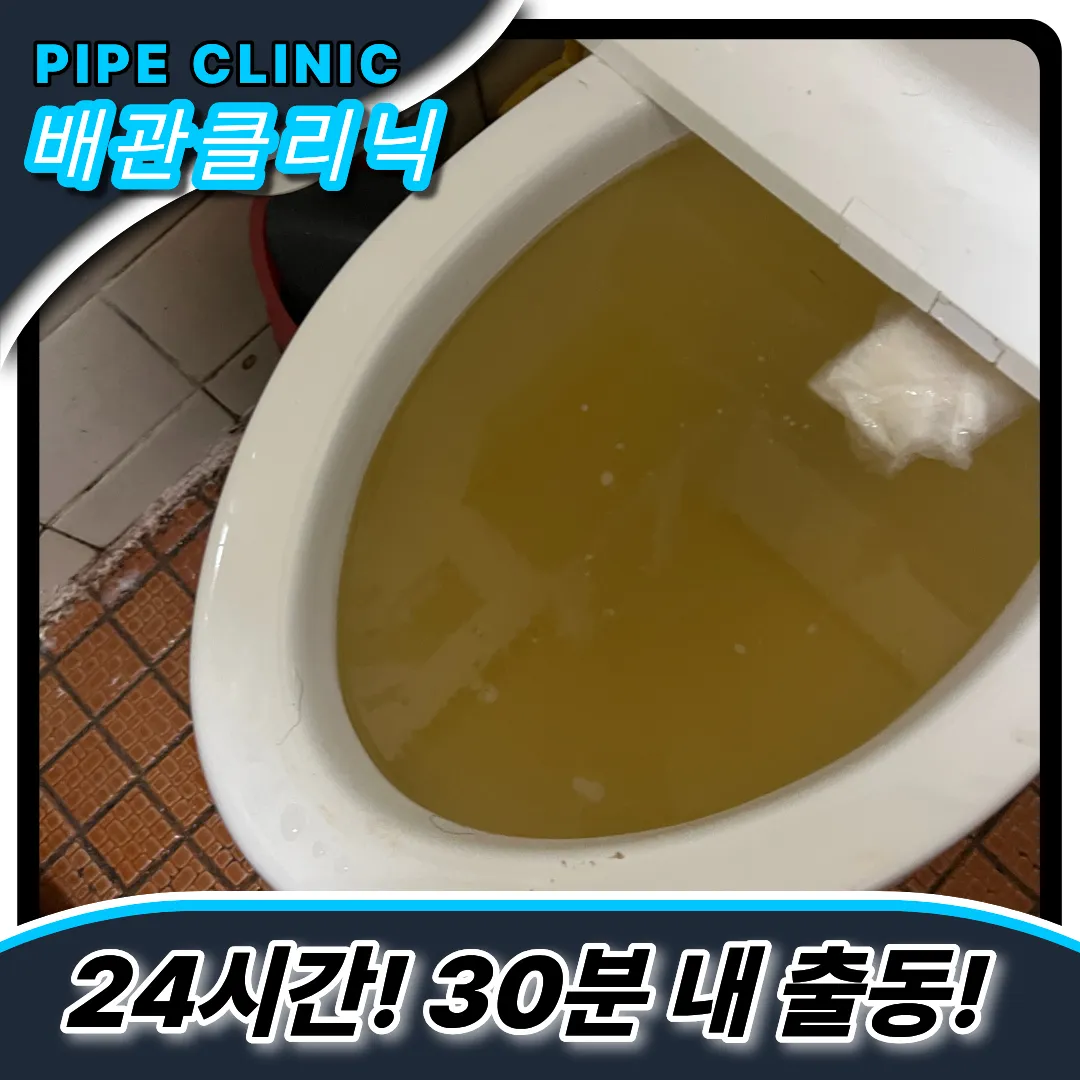 청학동변기역류