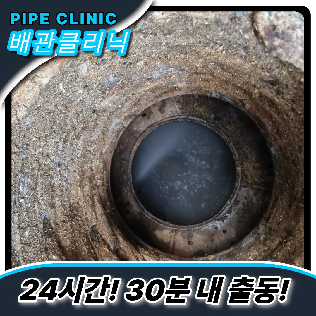 분당구변기역류