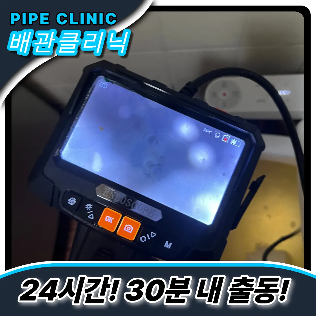 청학동변기역류