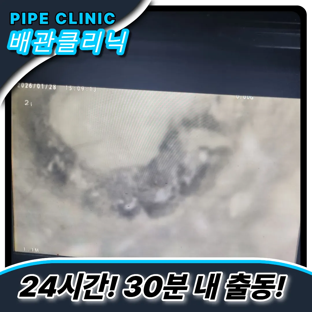 석회분해제효과