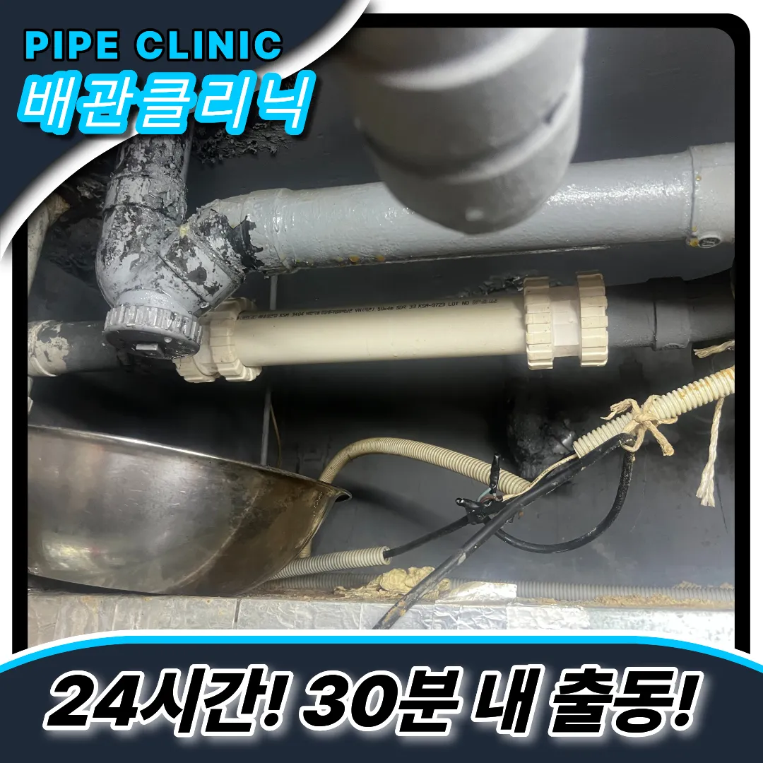 화장실배수구역류