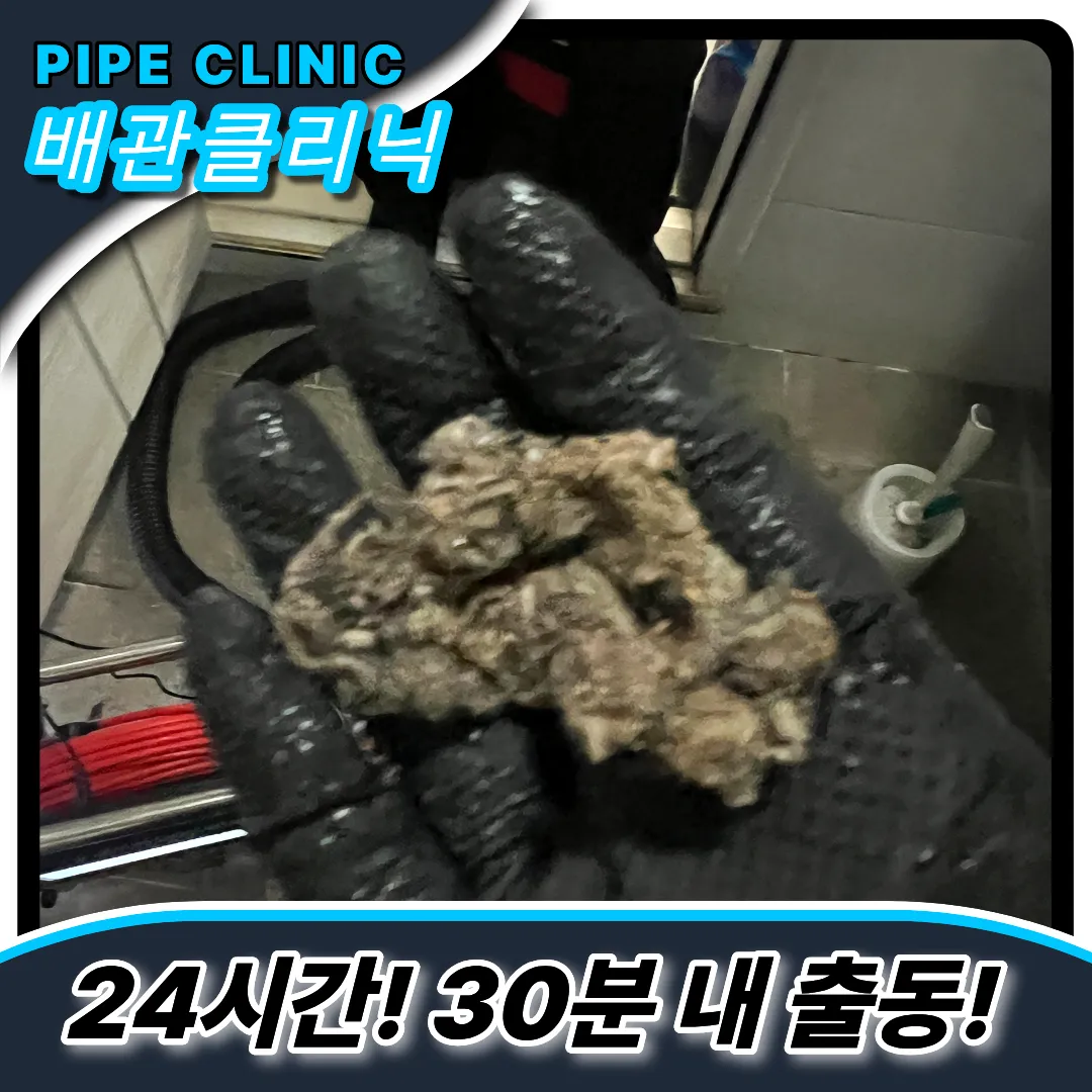 화장실하수구역류