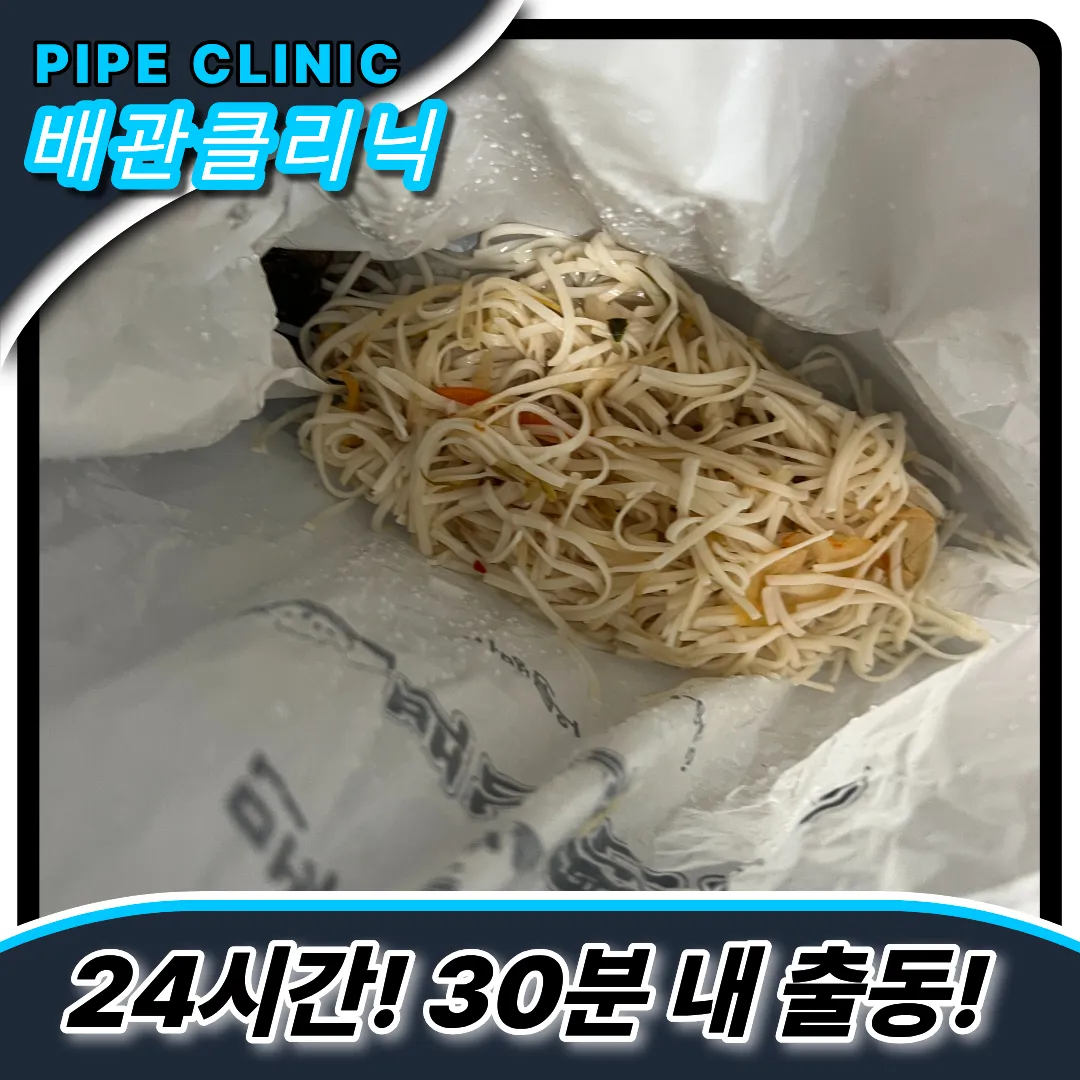 일산서구변기막힘