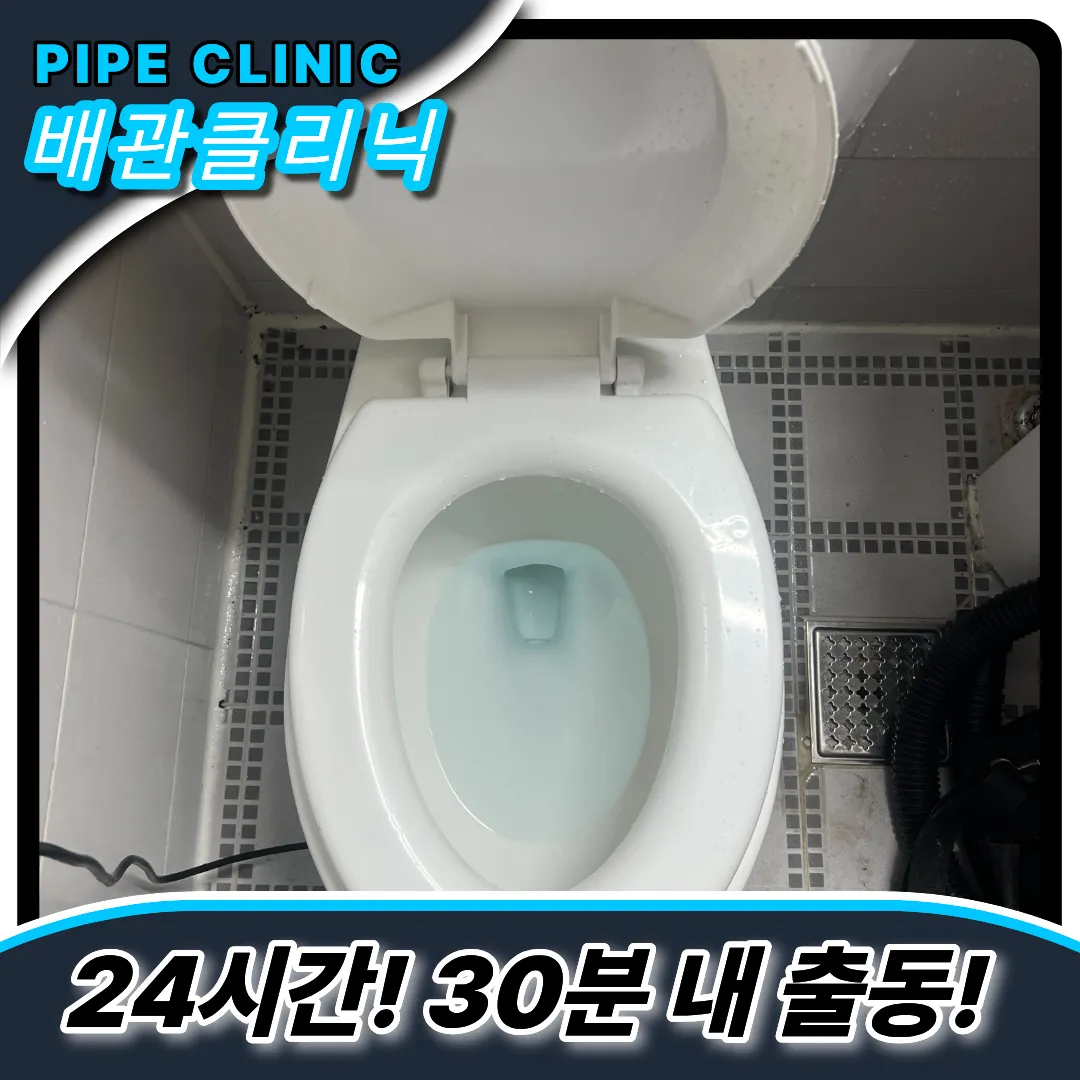 도원동변기역류