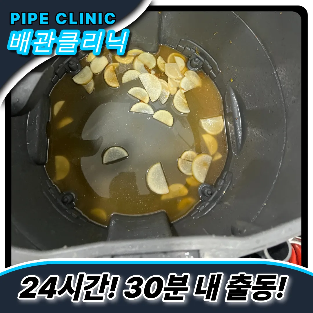 옹진군변기역류