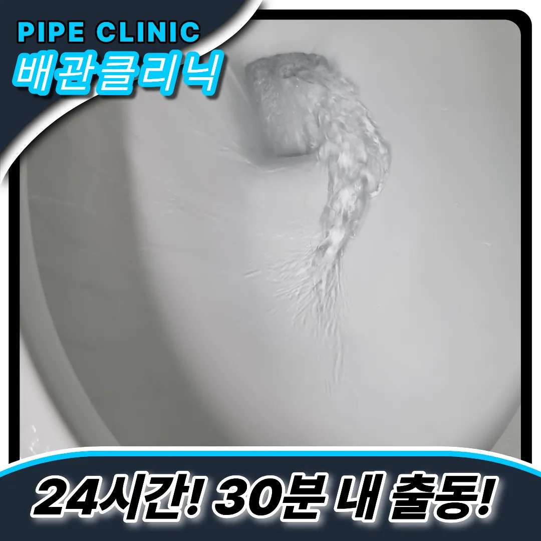 청학동변기역류