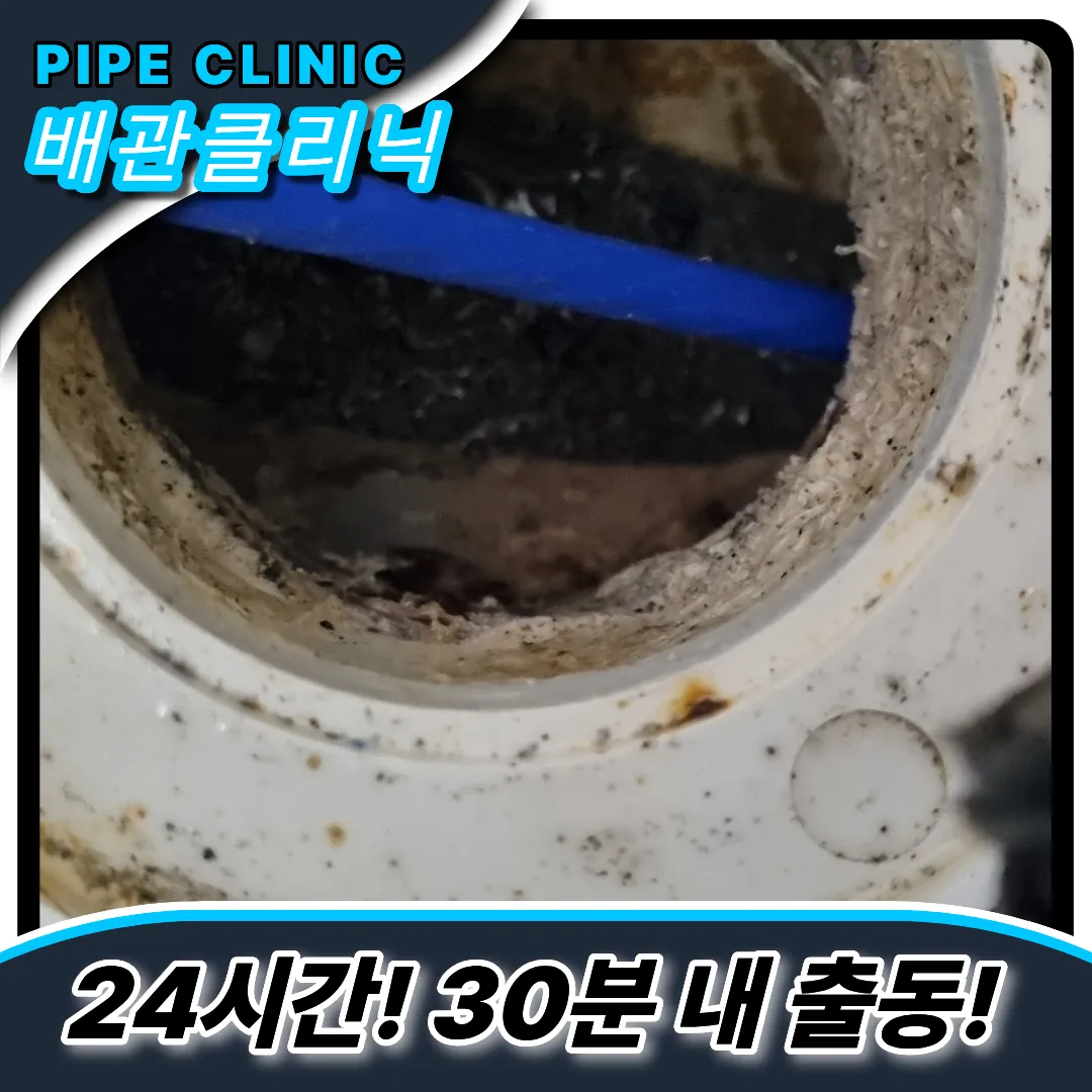 인천동구하수구역류