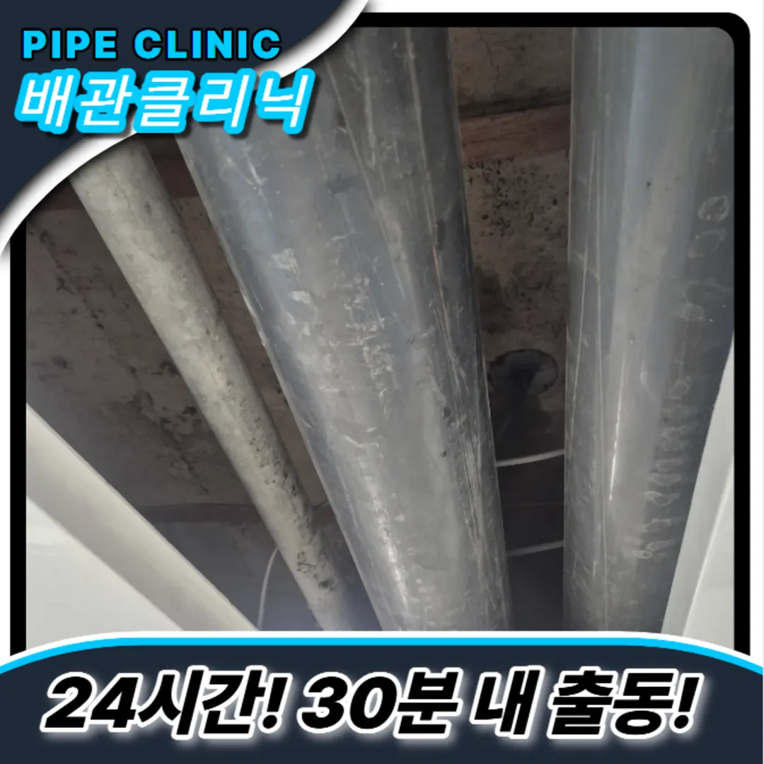 미추홀구하수구역류