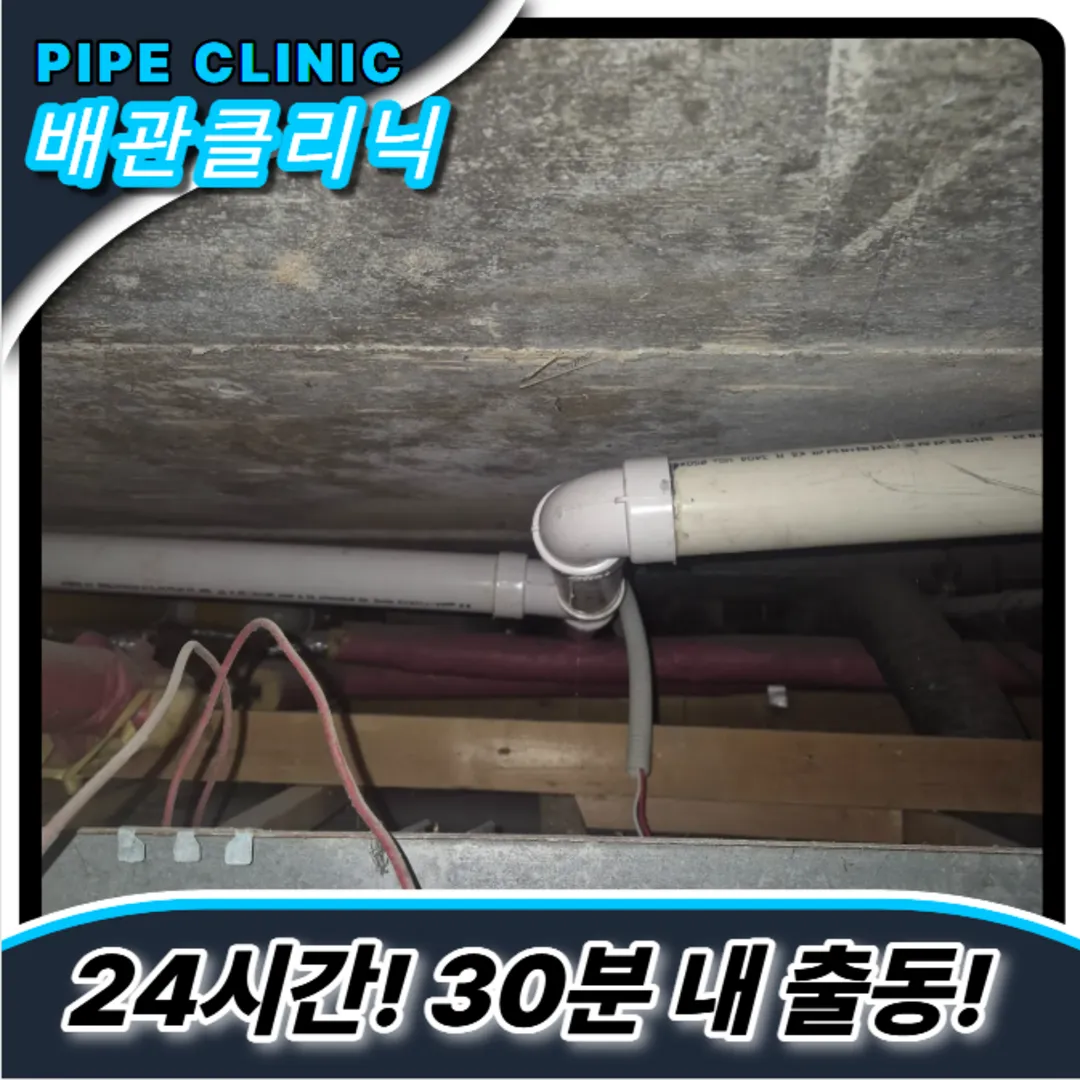 미추홀구하수구역류