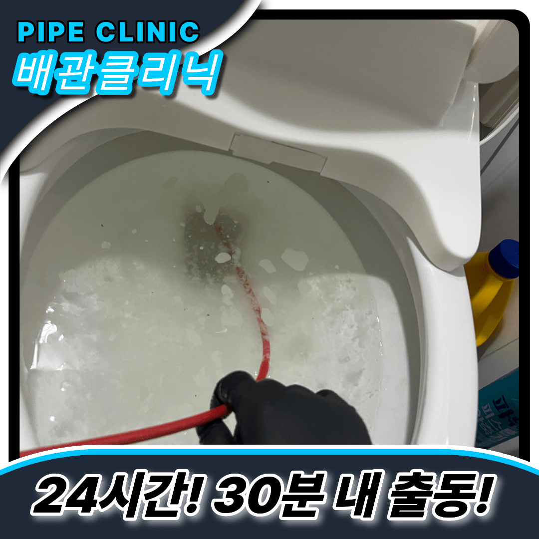 인천중구변기역류