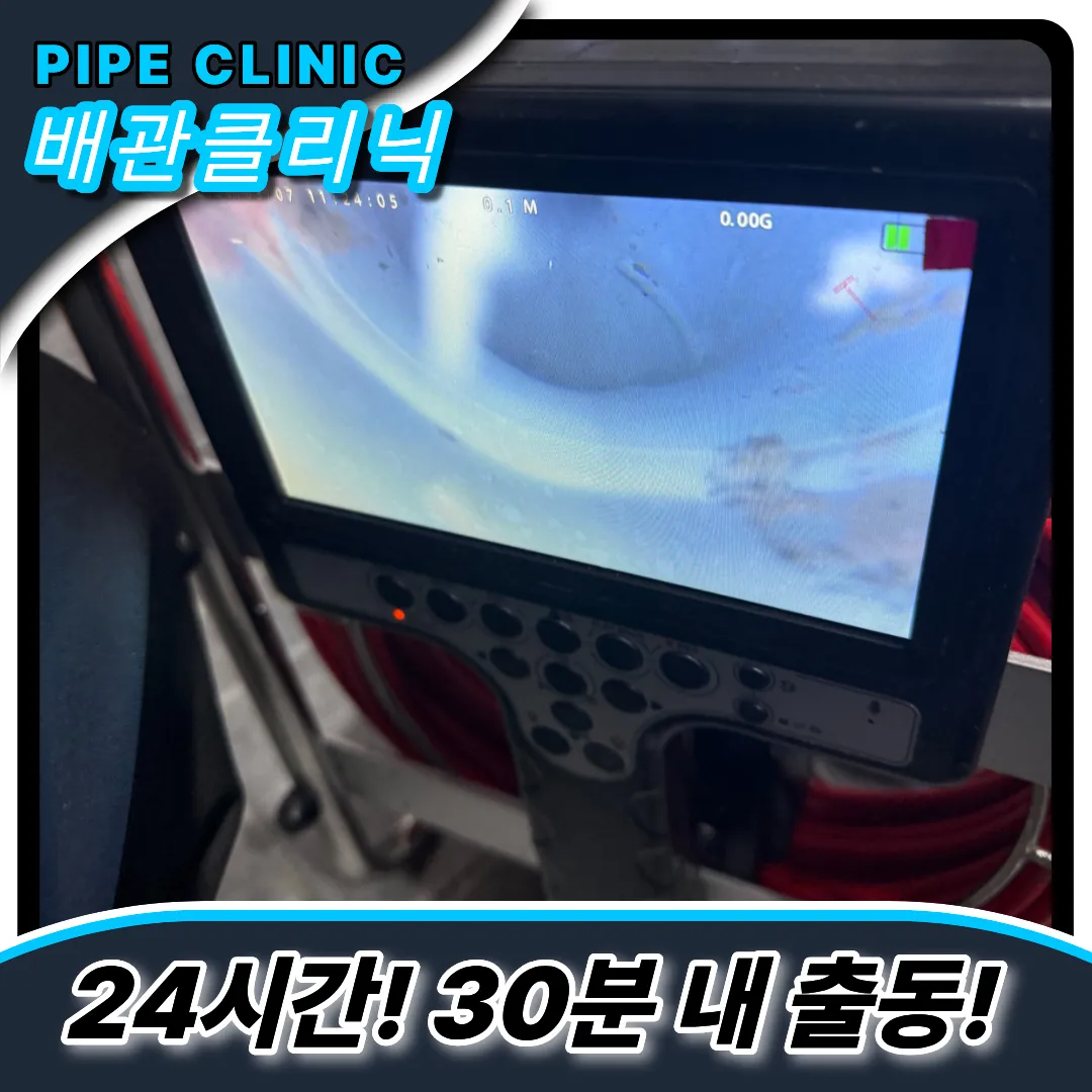 도당동변기역류