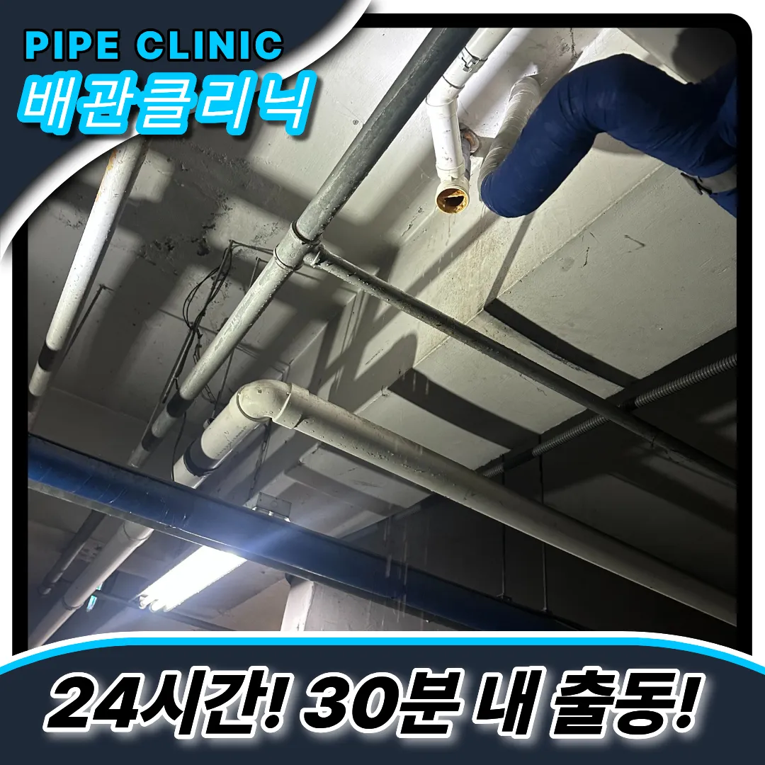 잠실동하수구역류