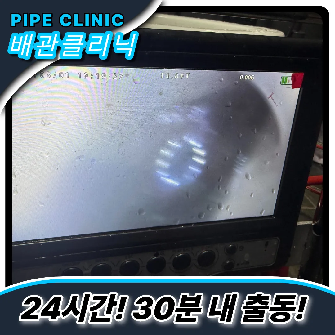 염창동하수구역류