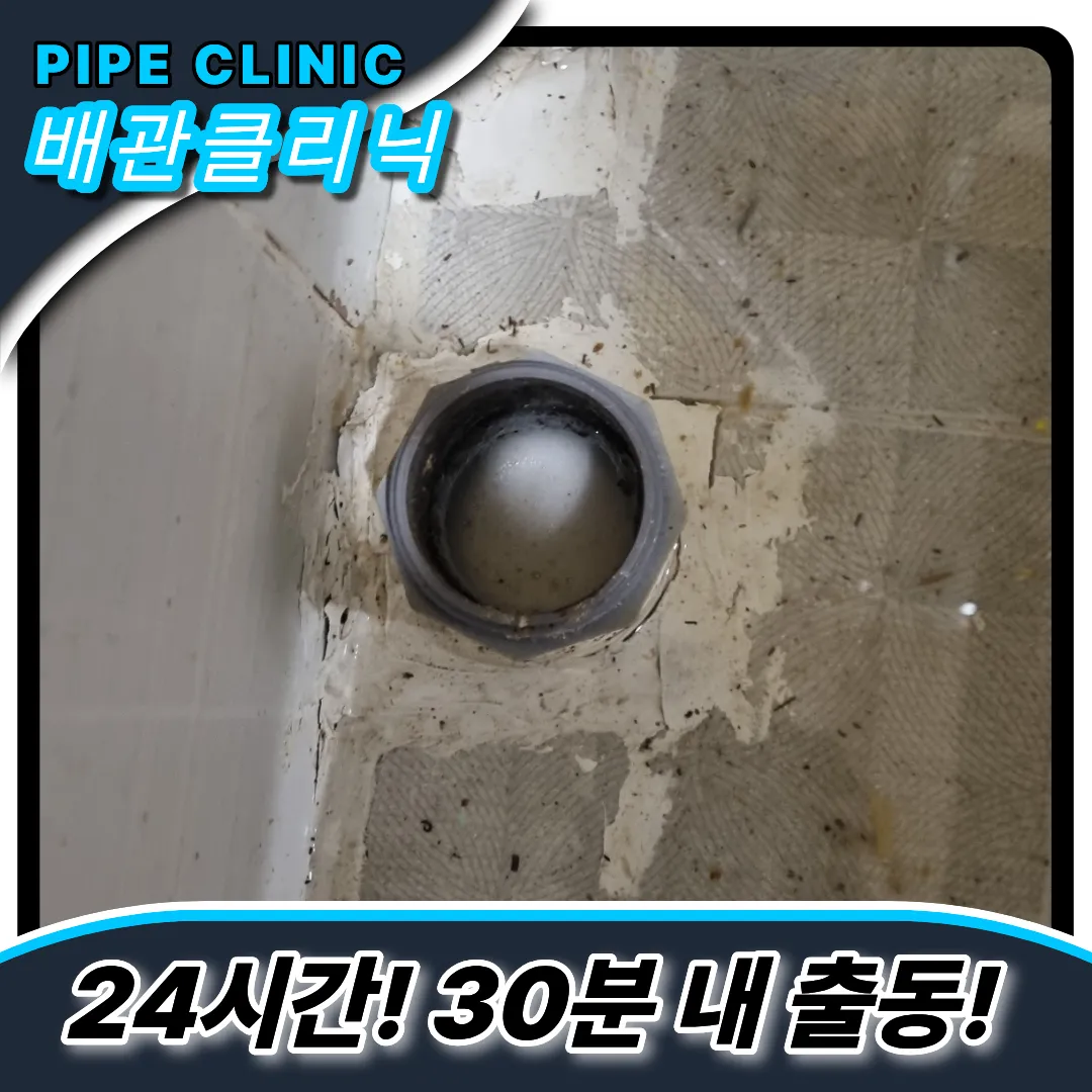 김포시하수구역류