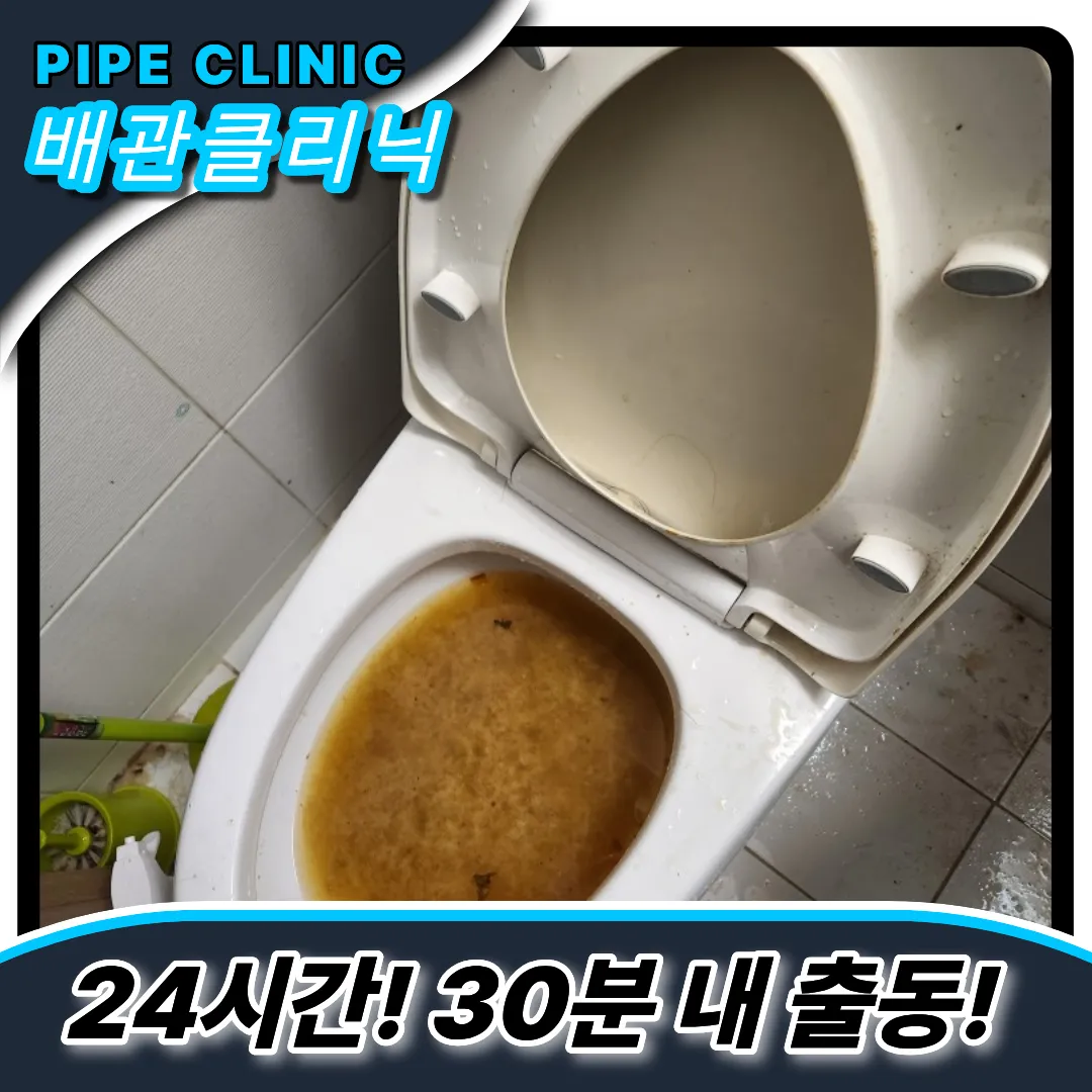 정왕동변기역류