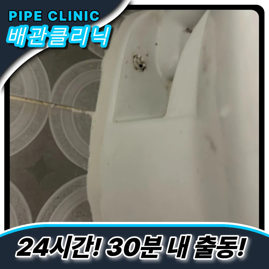 변기탈모약빠짐