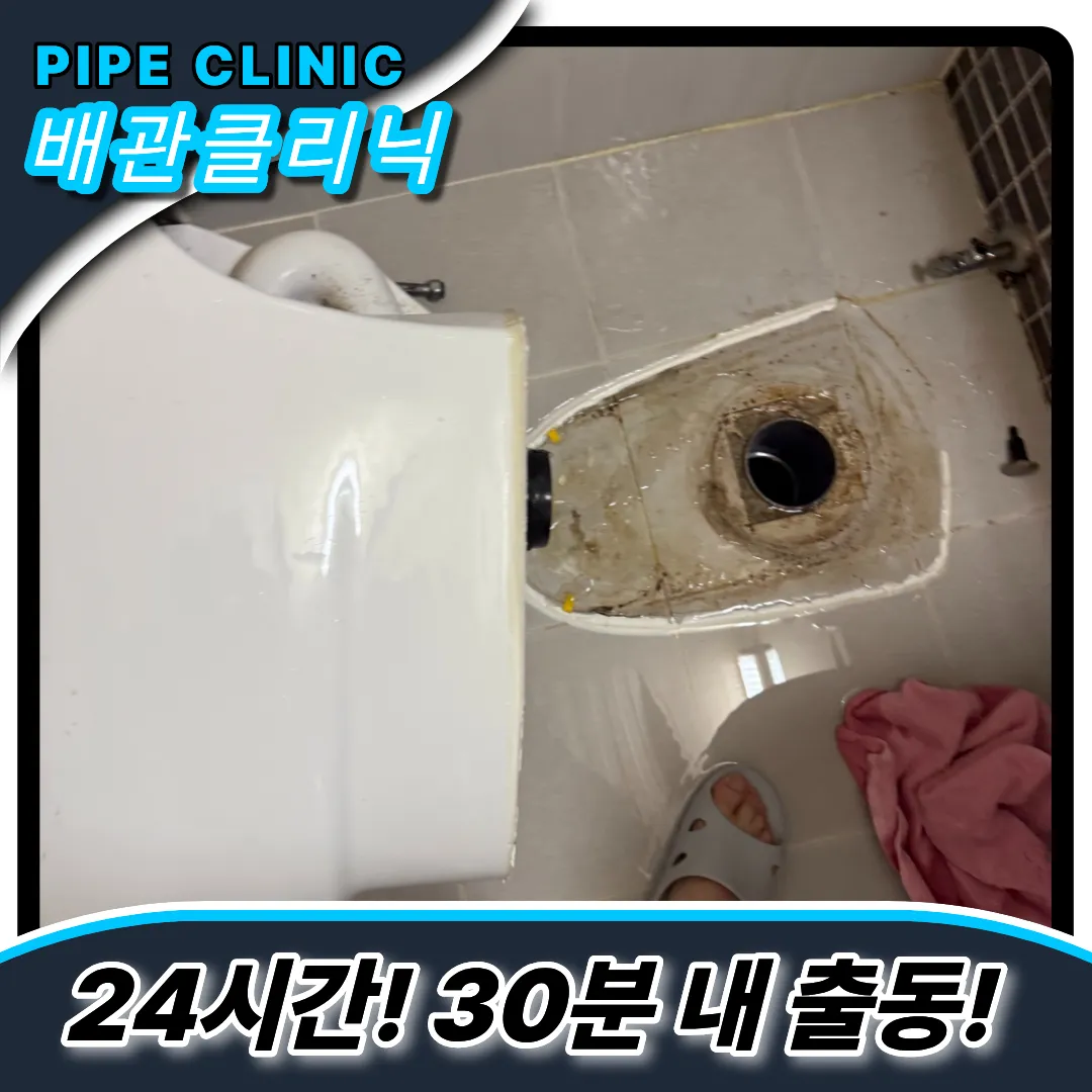 변기이물질제거