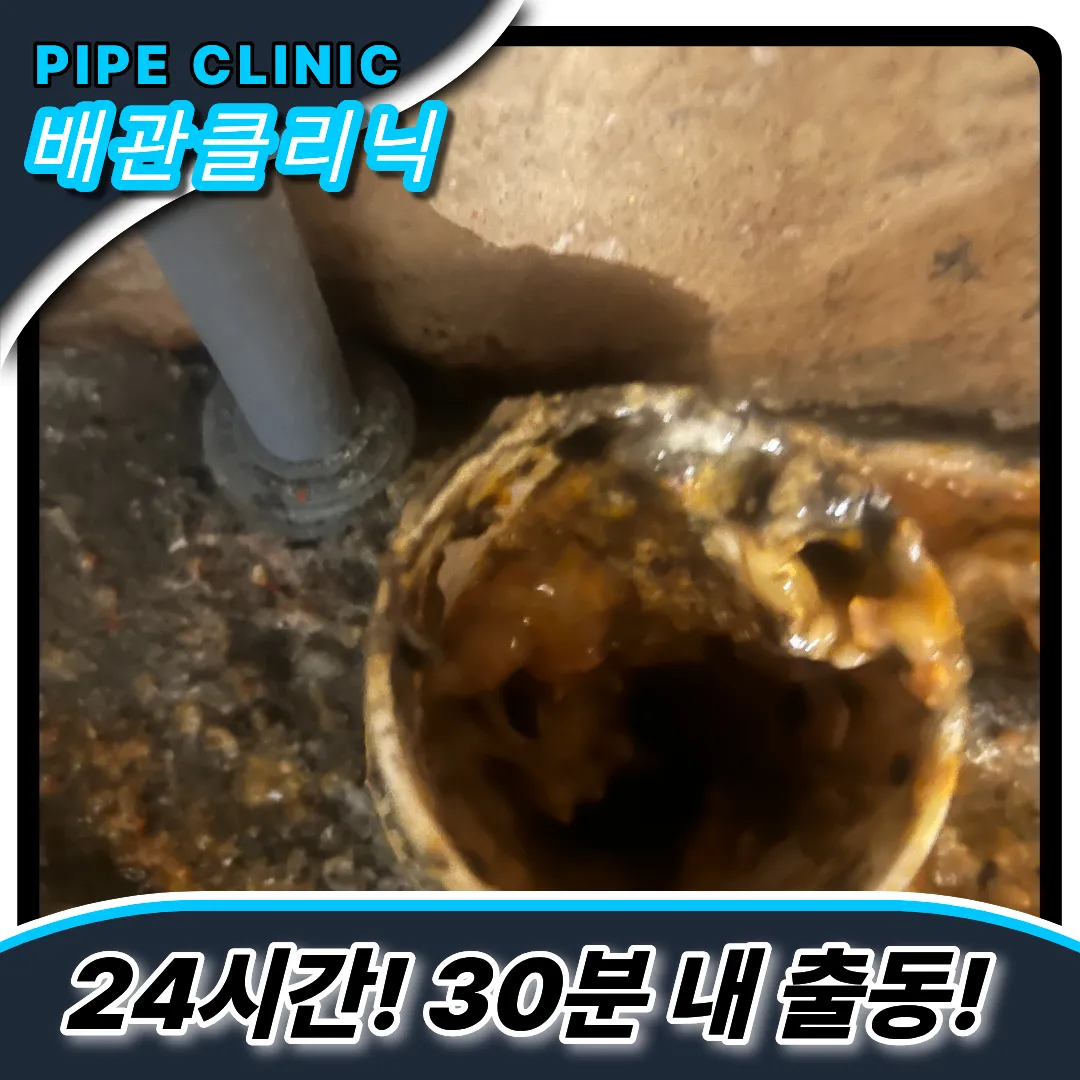 하수구정기점검