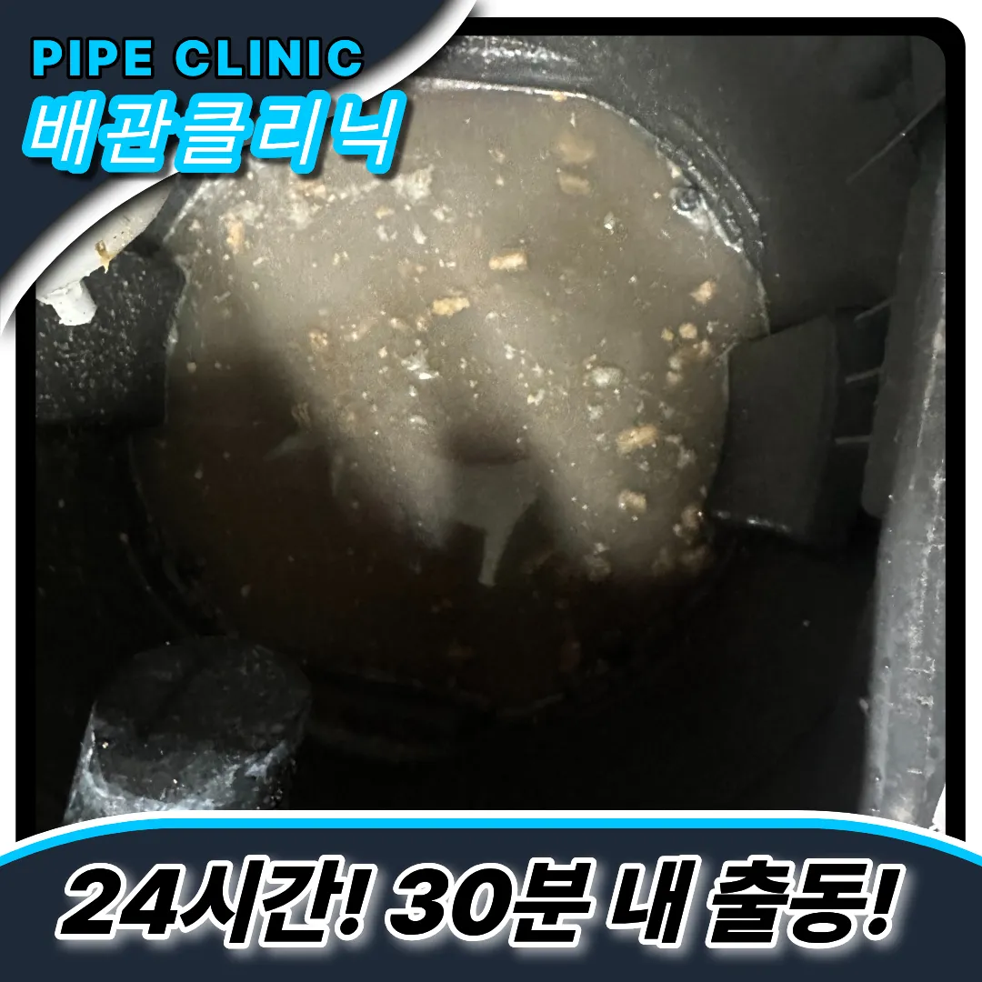 유지방슬러지제거