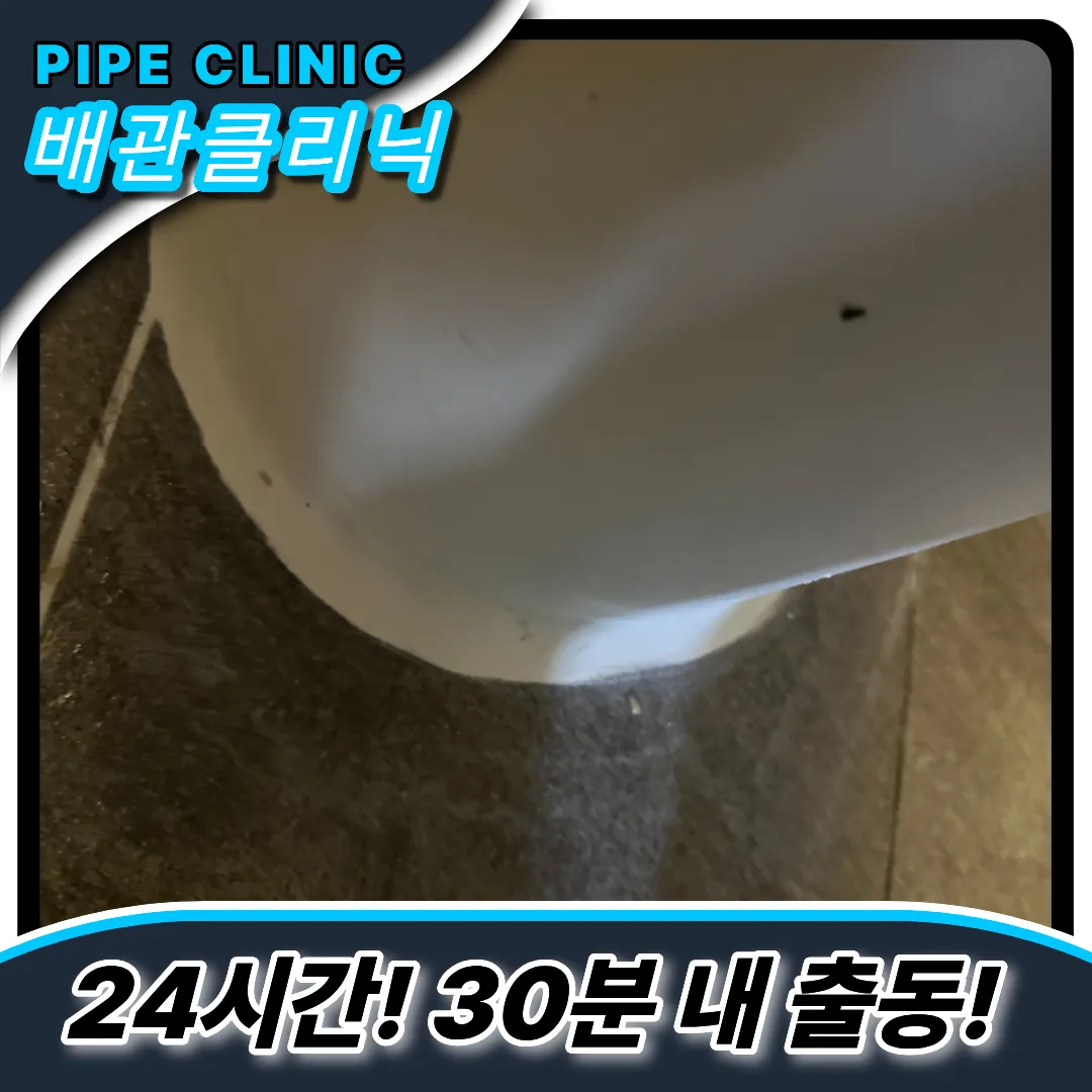 변기음식물제거