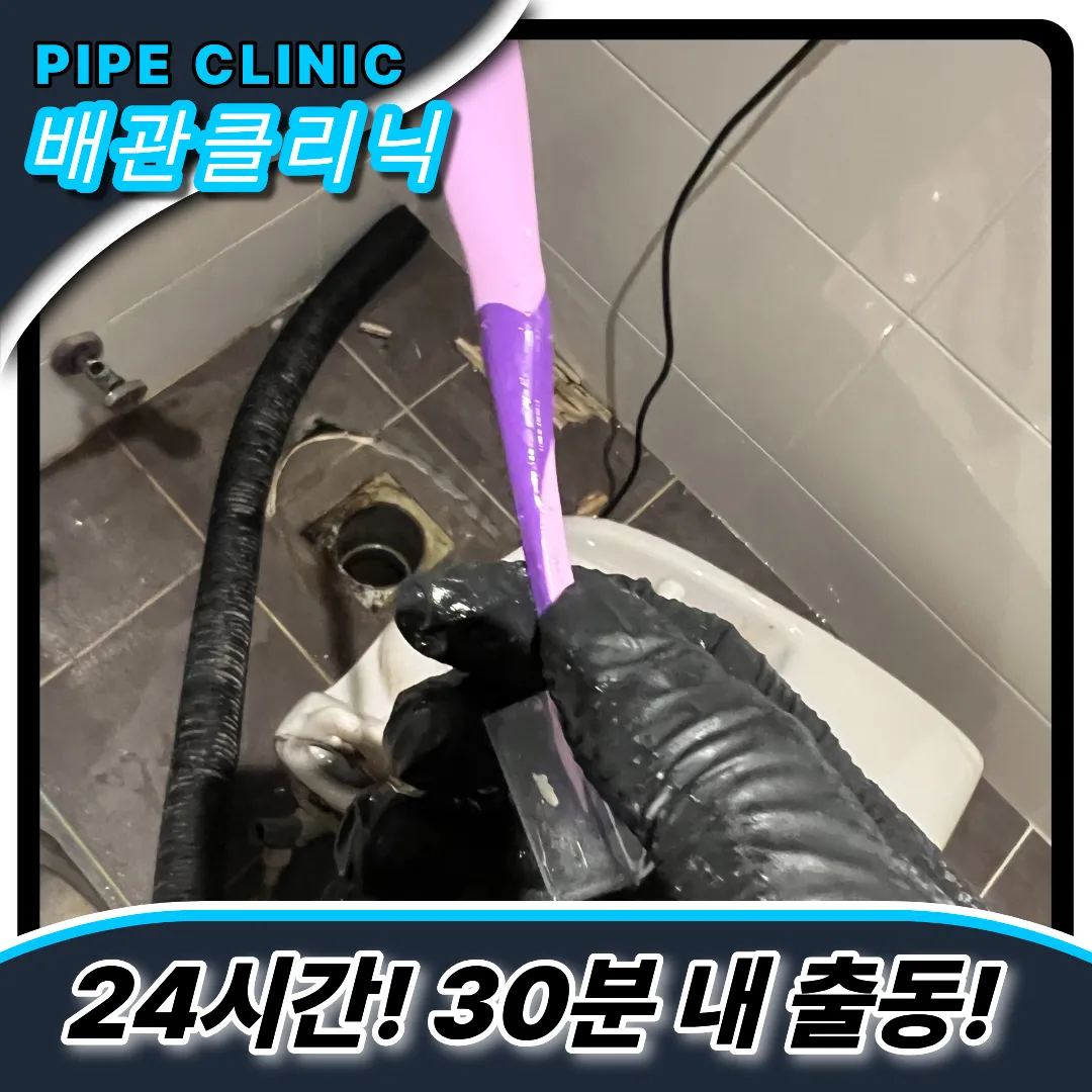 칫솔이빠졌어요