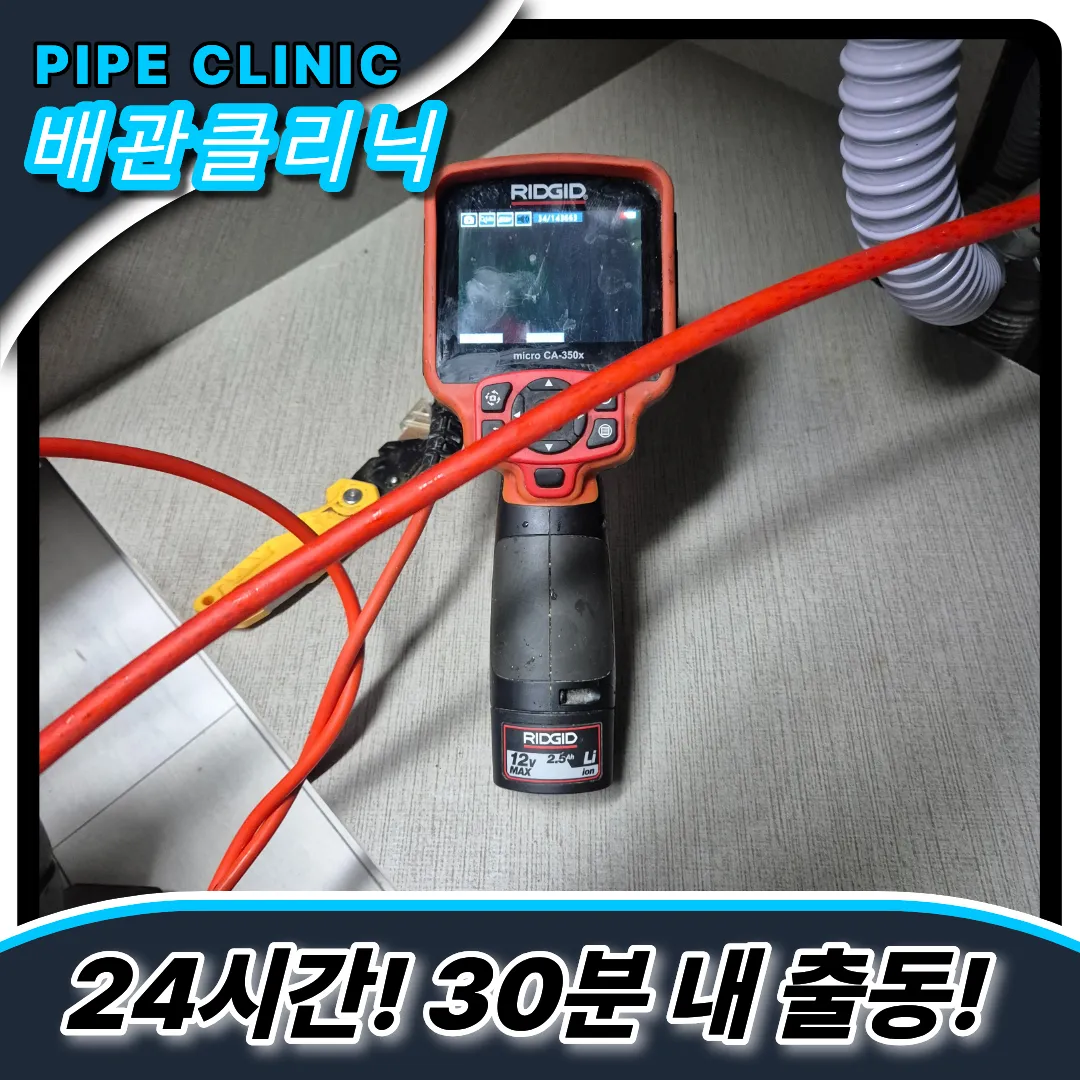 까만주름관
