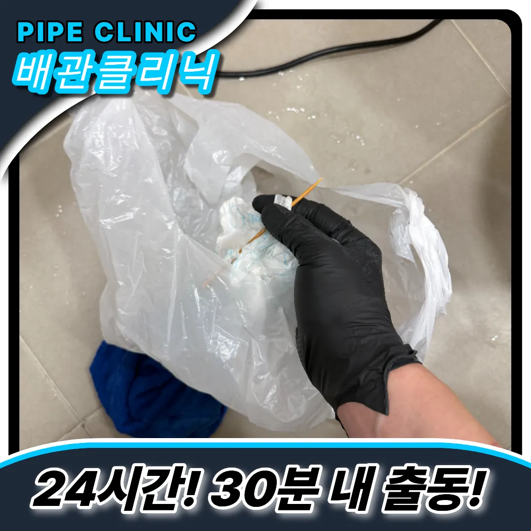 나무꼬치제거