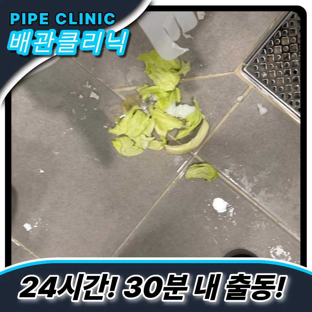 변기양배추제거