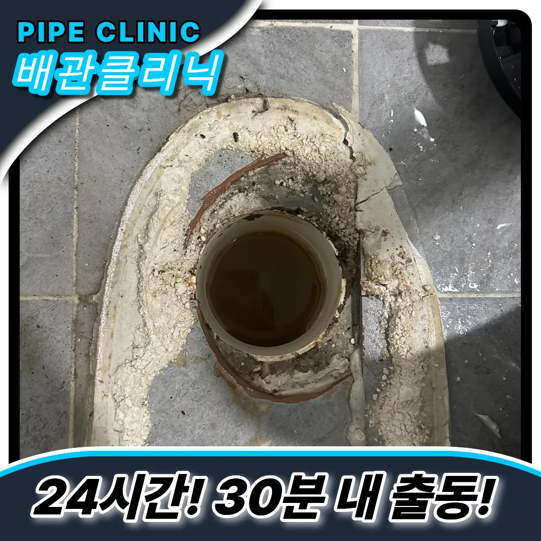 탈거가능한업체