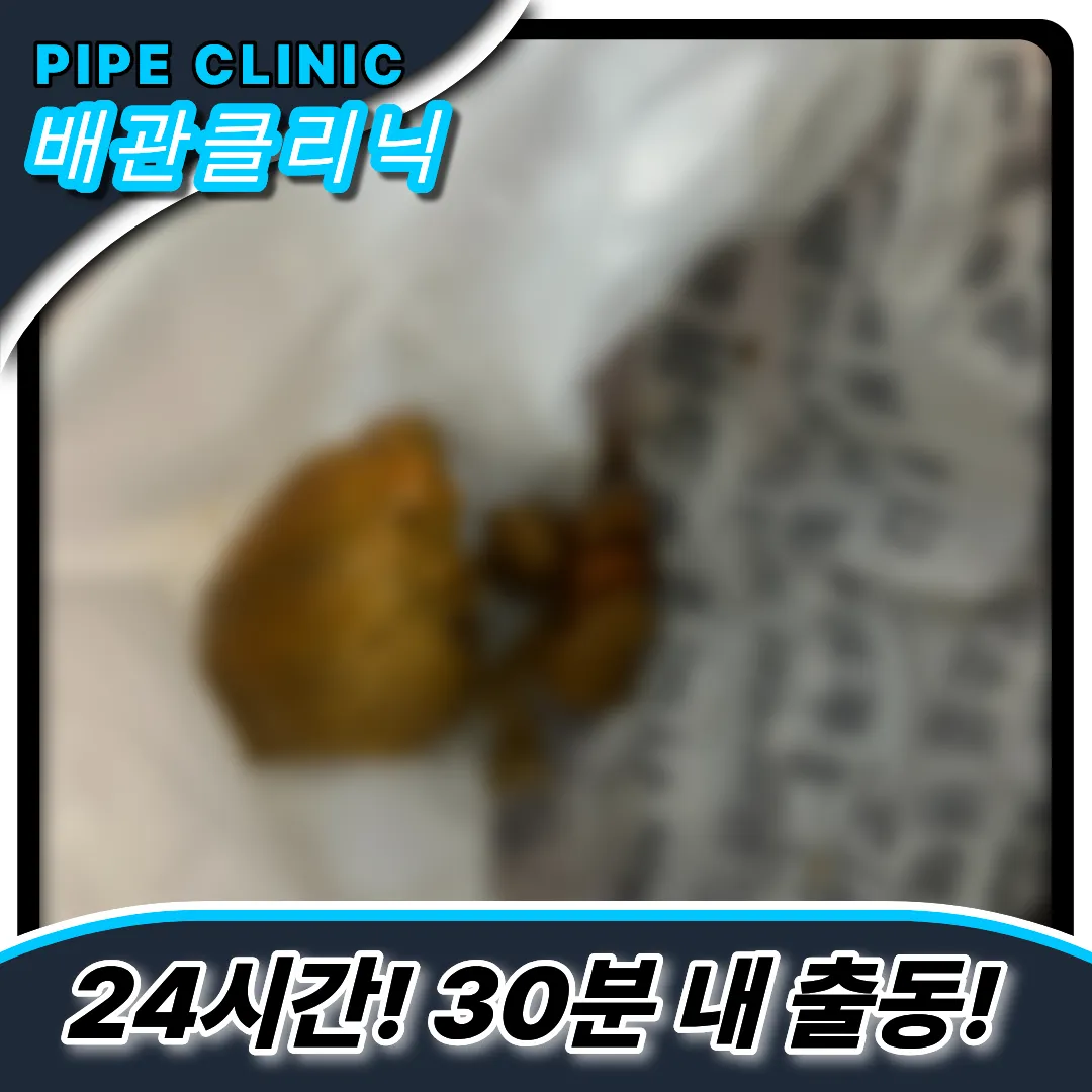 성남시변기막힘