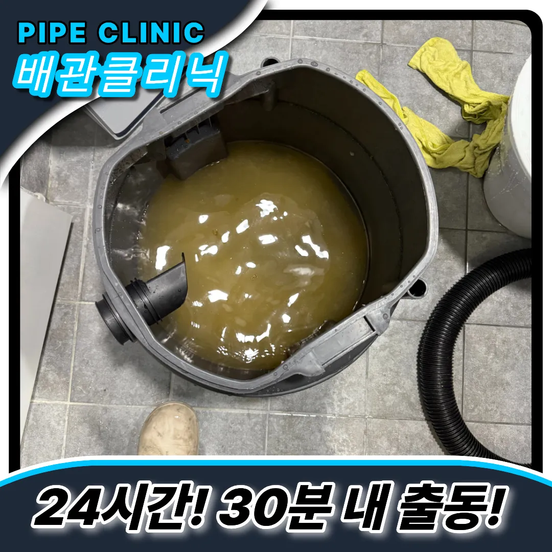 도당동변기역류