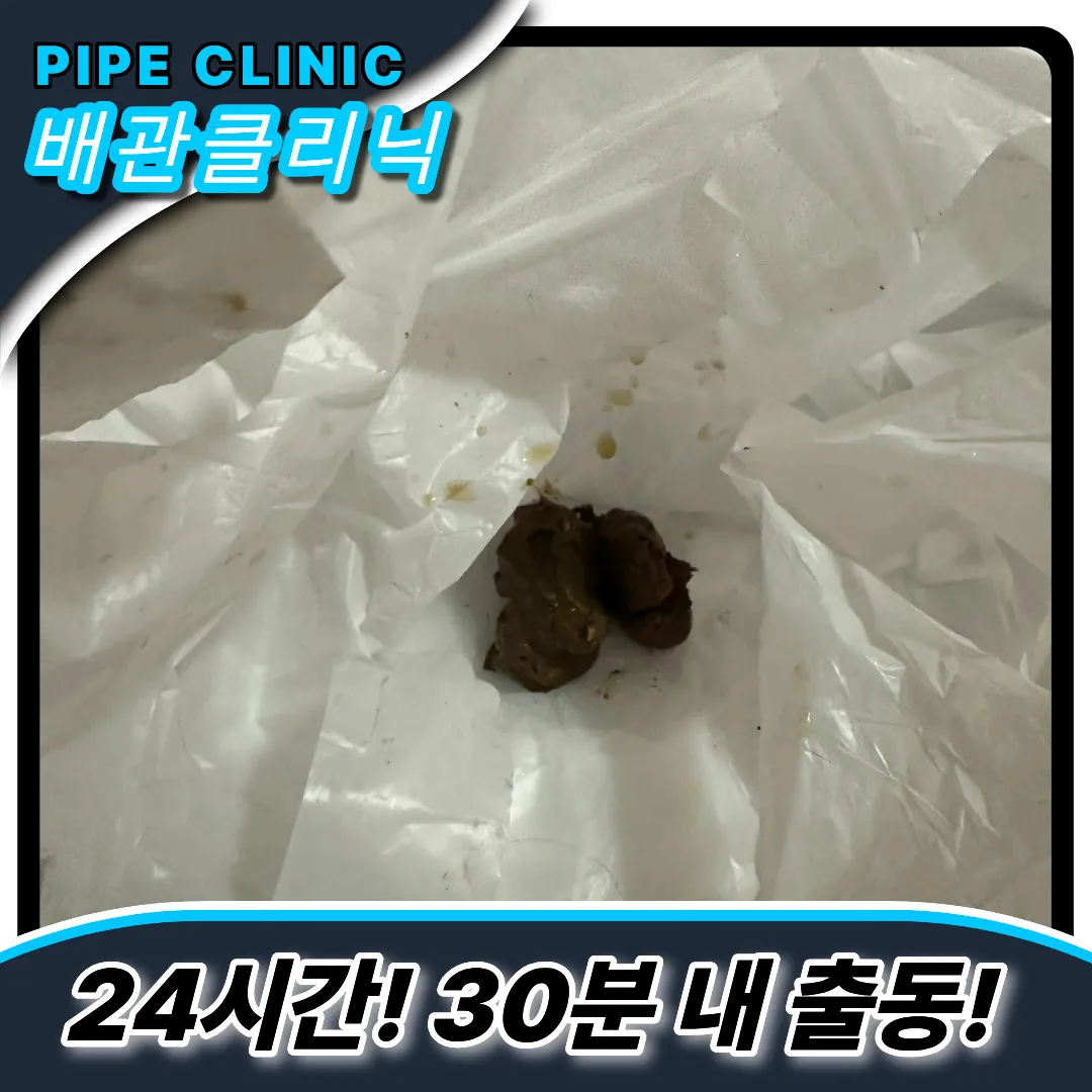 대야동변기막힘