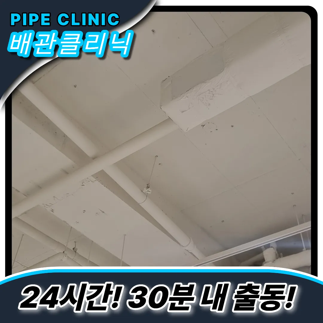 금창동하수구막힘