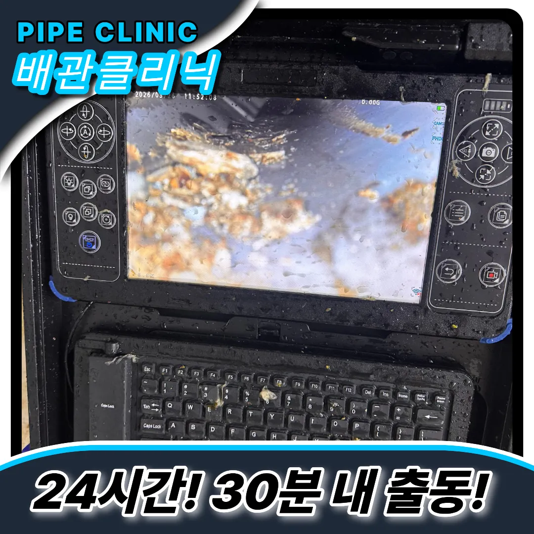 변기역류