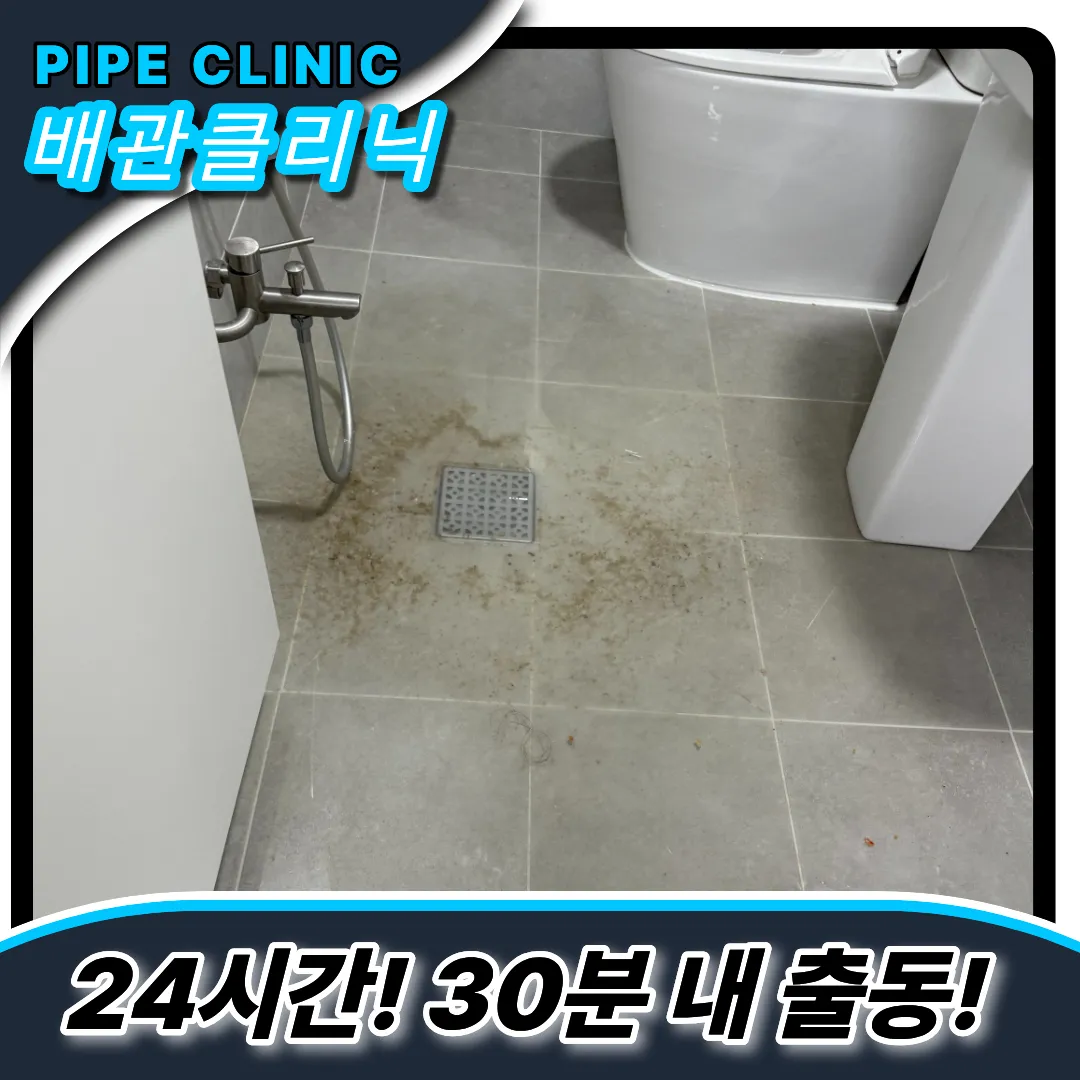 하수구역류