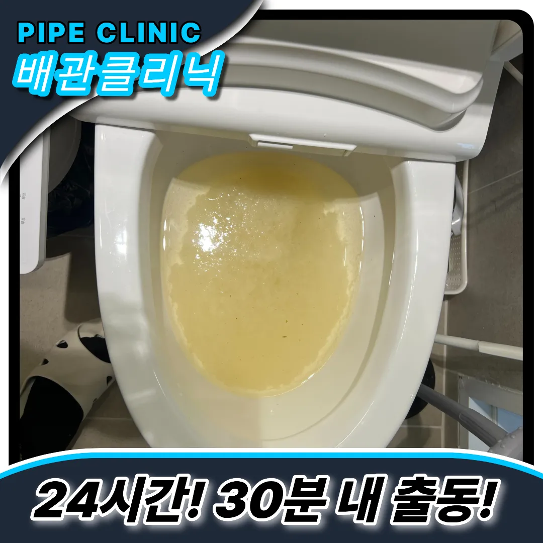 변기역류