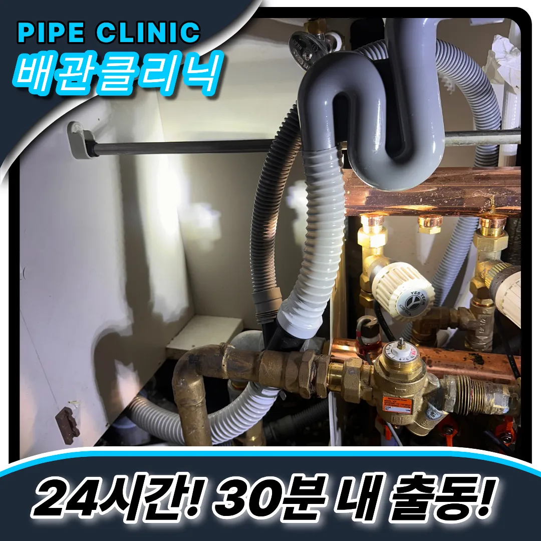 싱크대곰팡이