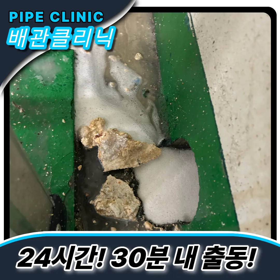 임학동하수구역류