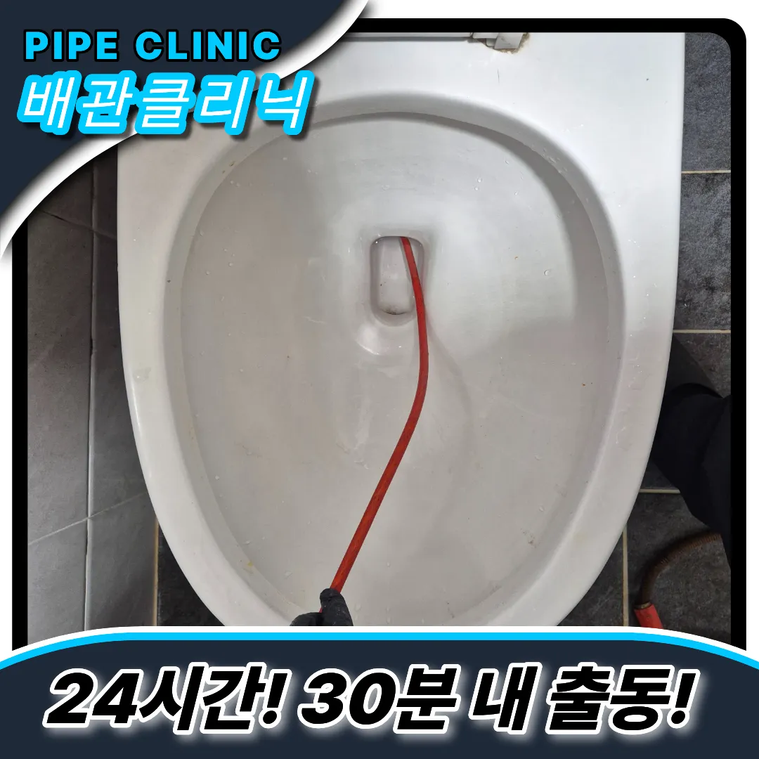 용현동변기역류