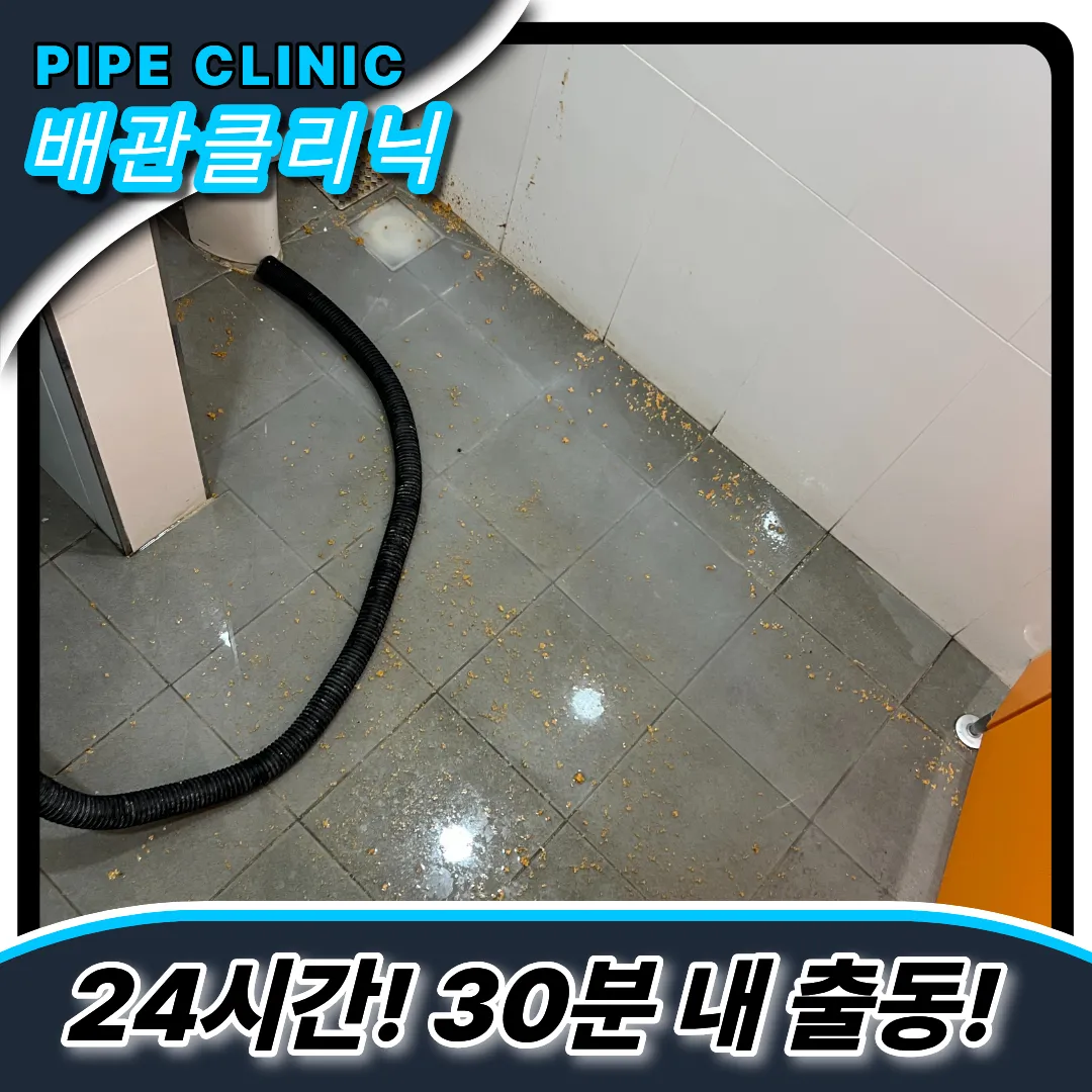 양재동변기역류