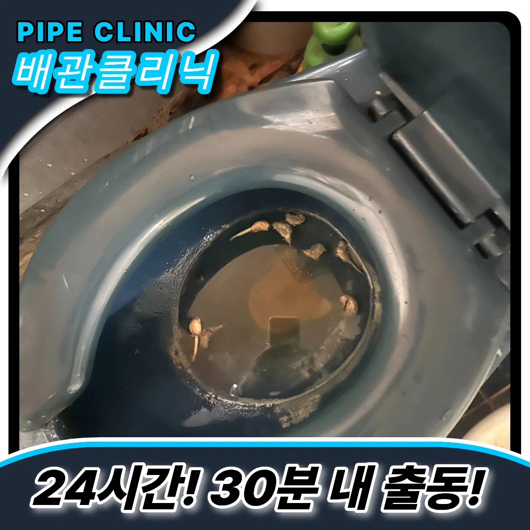 관양동하수구막힘