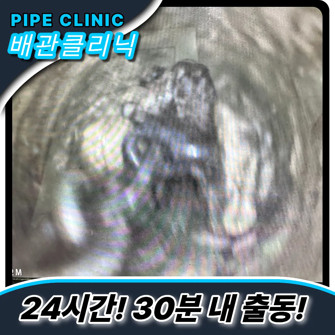 운연동하수구역류