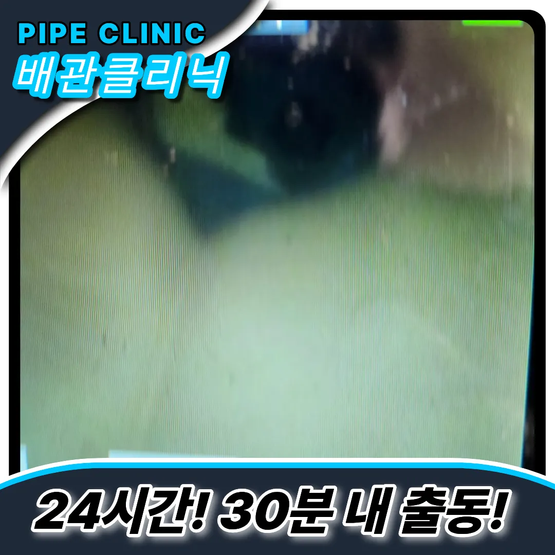 용현동변기역류