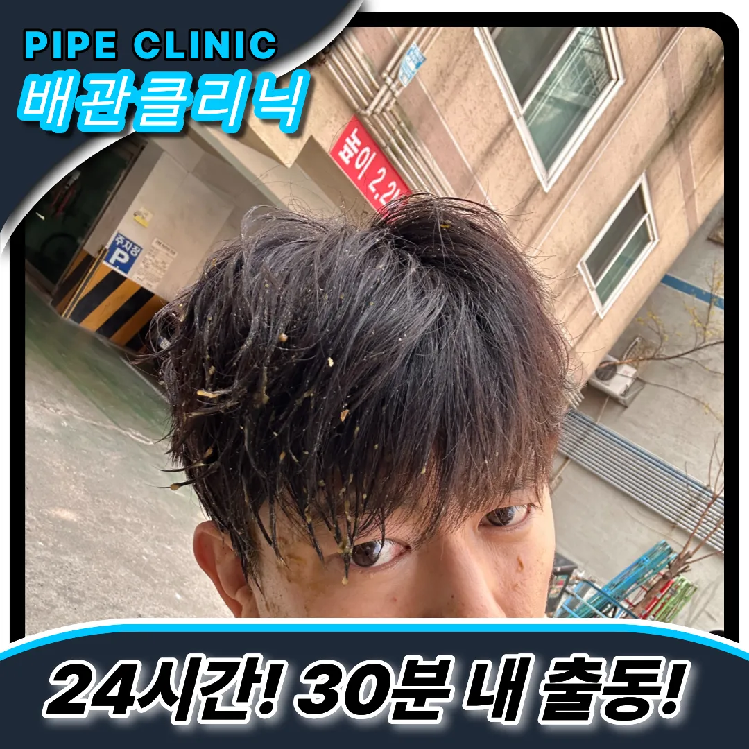 양재동변기역류