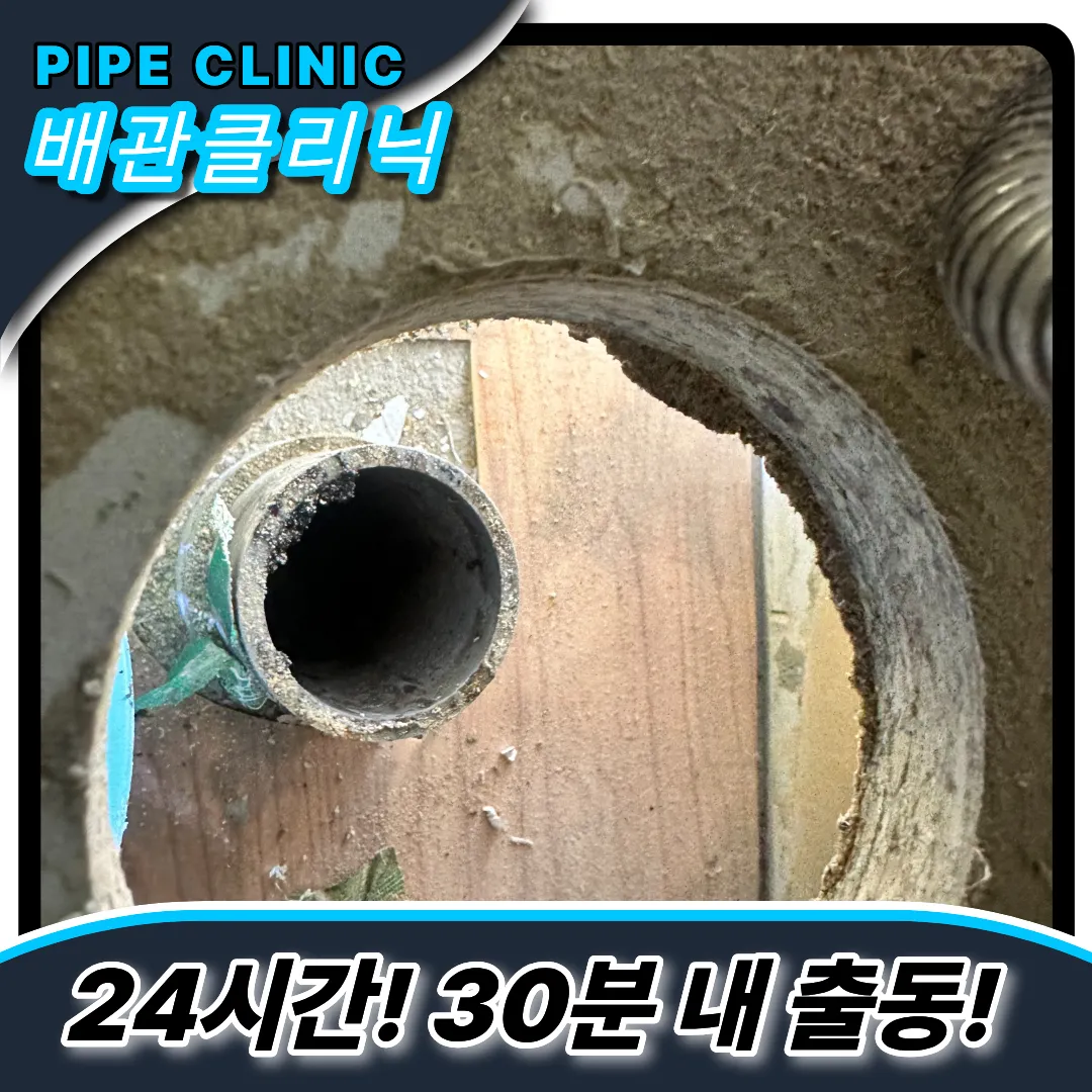 곰팡이부식