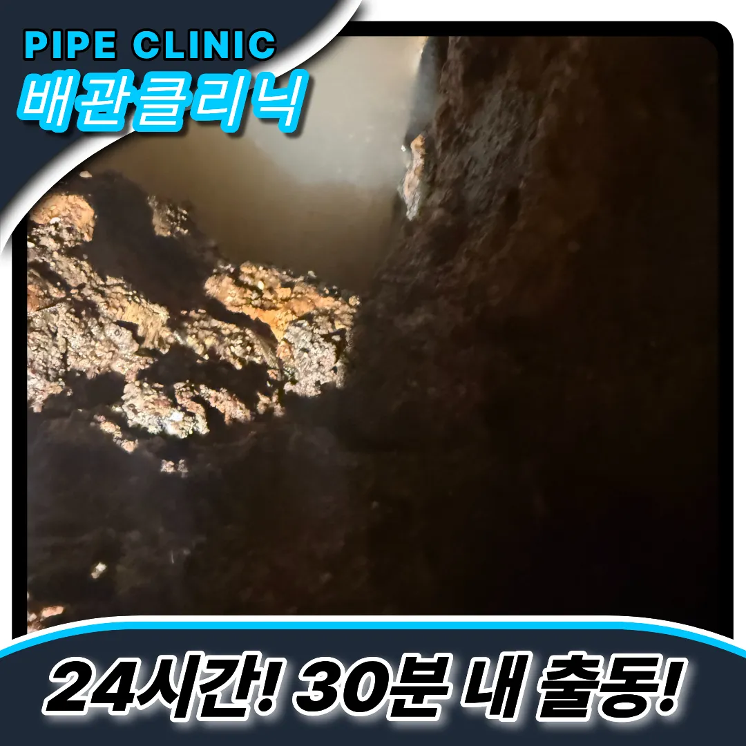 역대급작업후기