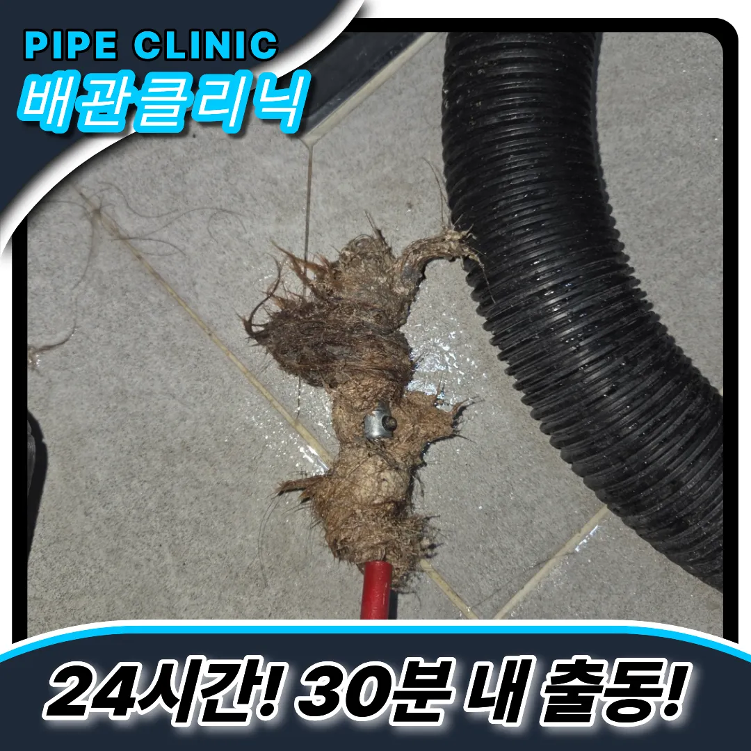 배수구털제거
