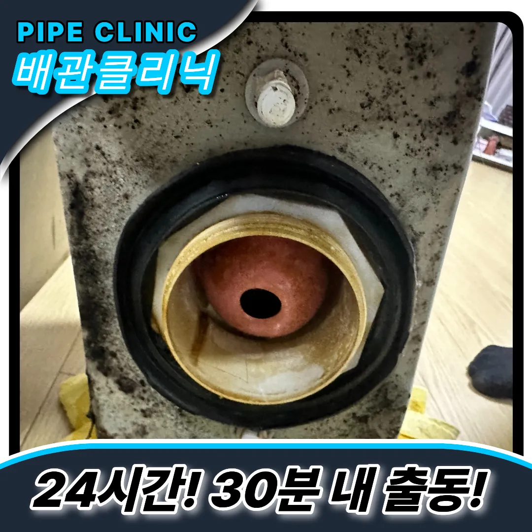 독보적인기술력