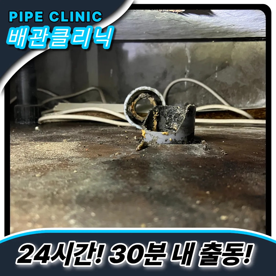 식기세척기주의사항